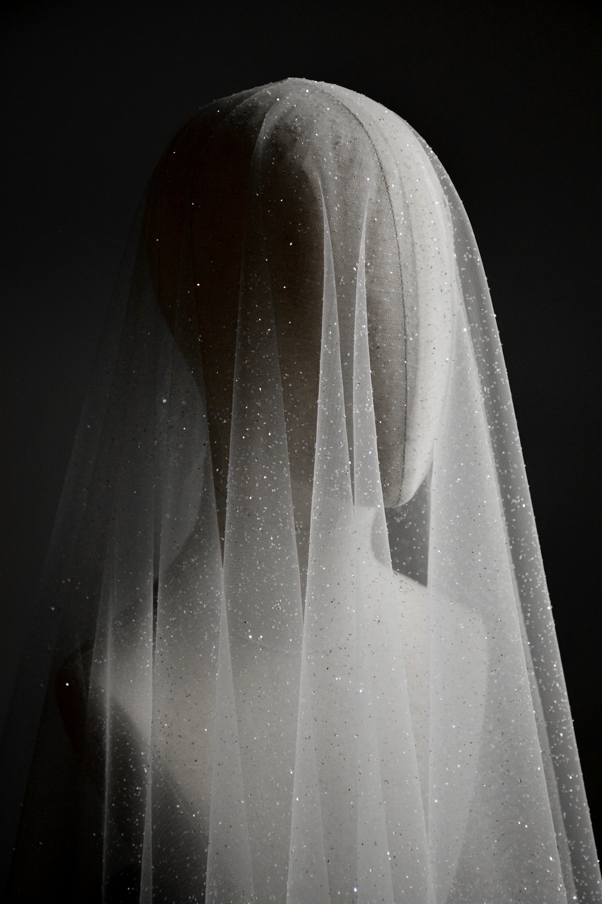 CAPELLA | Sparkling Wedding Veil with Blusher